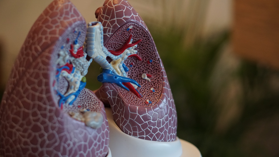 Common Types of Respiratory Medications & What You Need to Know